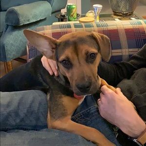 Meet your Posher, William